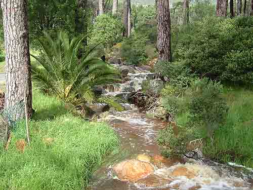  Tours in Cape Town